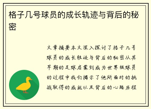 格子几号球员的成长轨迹与背后的秘密